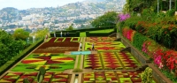 Gardens of Madeira Island